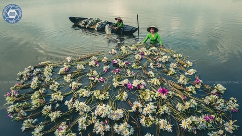 HCM City to host first International Photography Festival 2022